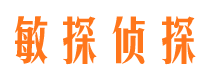 莱城市私家侦探